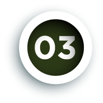 Asset 3
